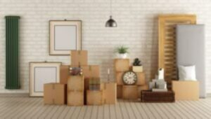 Packers and Movers Undri