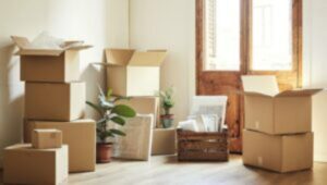 Packers and Movers Tingre Nagar