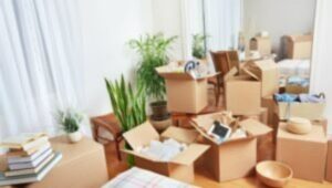 Packers and Movers Sinhagad Road