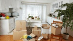 Packers and Movers Prabhat Road