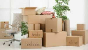 Packers and Movers Pisoli