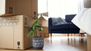 Packers and Movers Model Colony