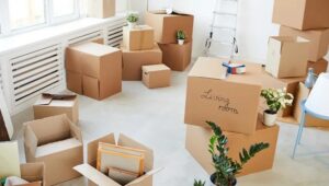 Packers and Movers Koregaon Park